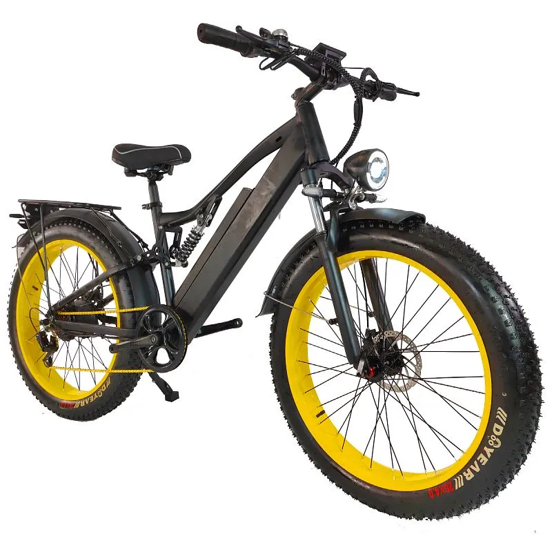 Mountain Snow Electric Bicycle